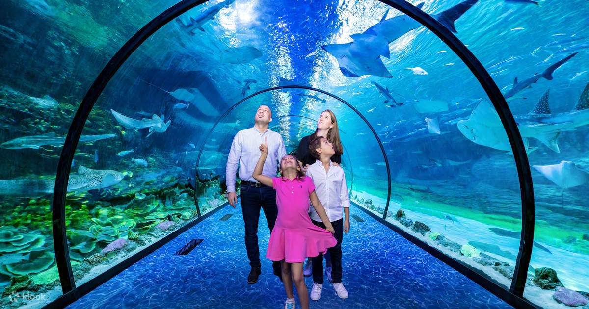 The National Aquarium Admission in Abu Dhabi Klook